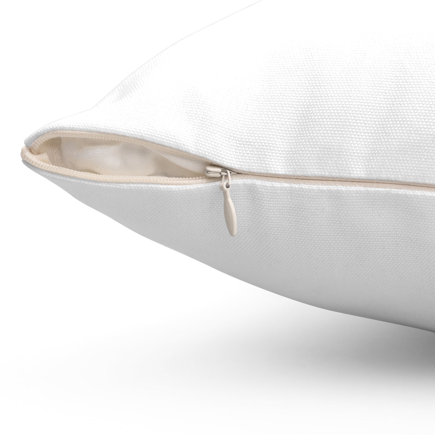 COASTAL CUSHIONS: ABSTRACT FISH Accent Pillow