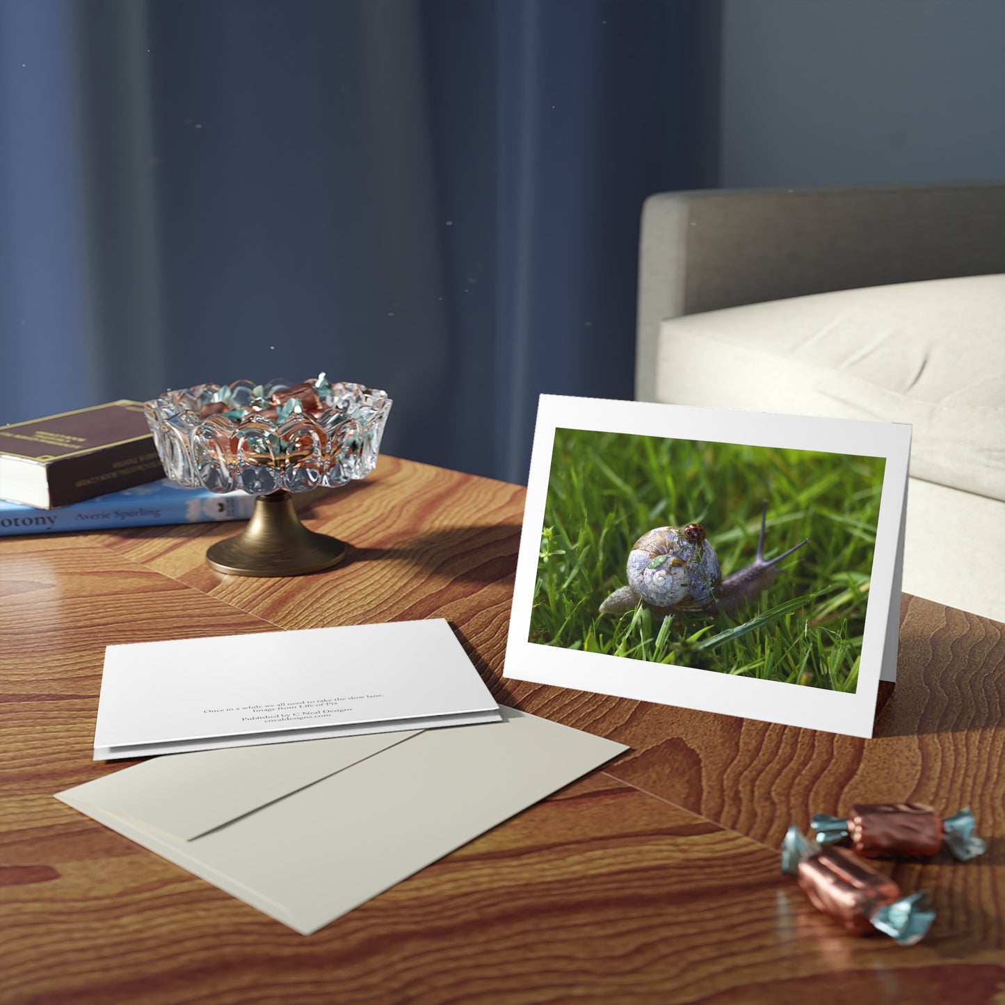 LADYBUG AND SNAIL Greeting Cards (8, 16, and 24 pcs)