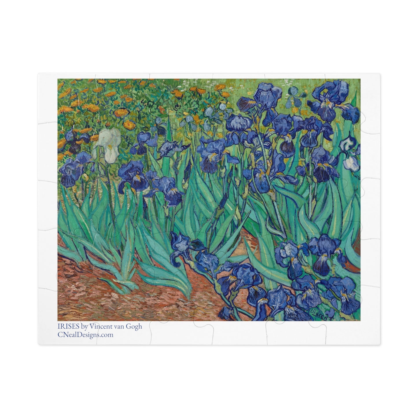 IRISES Vincent van Gogh Jigsaw Puzzle (30, 110, 252, 500,1000-Piece)