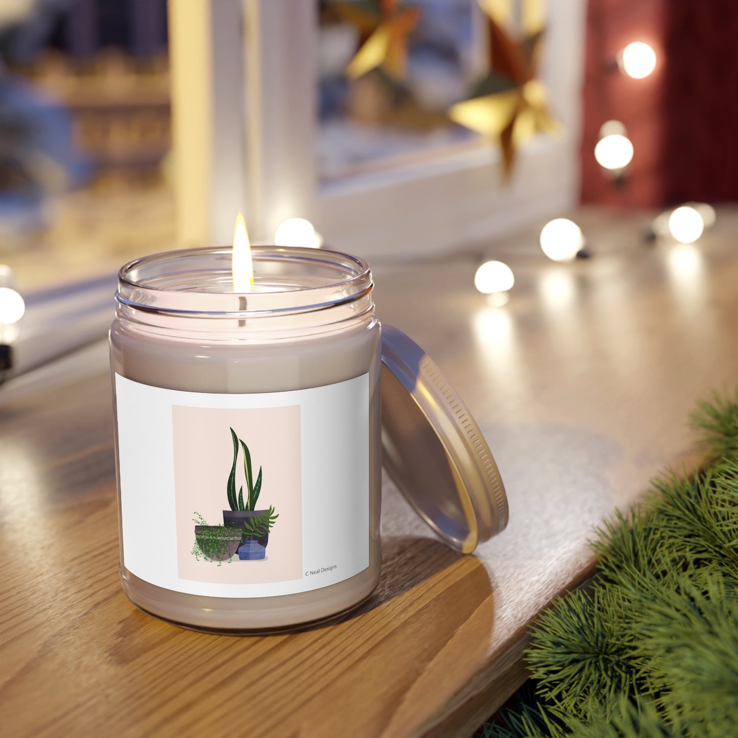 HOUSE PLANTS Scented Candles, 9oz