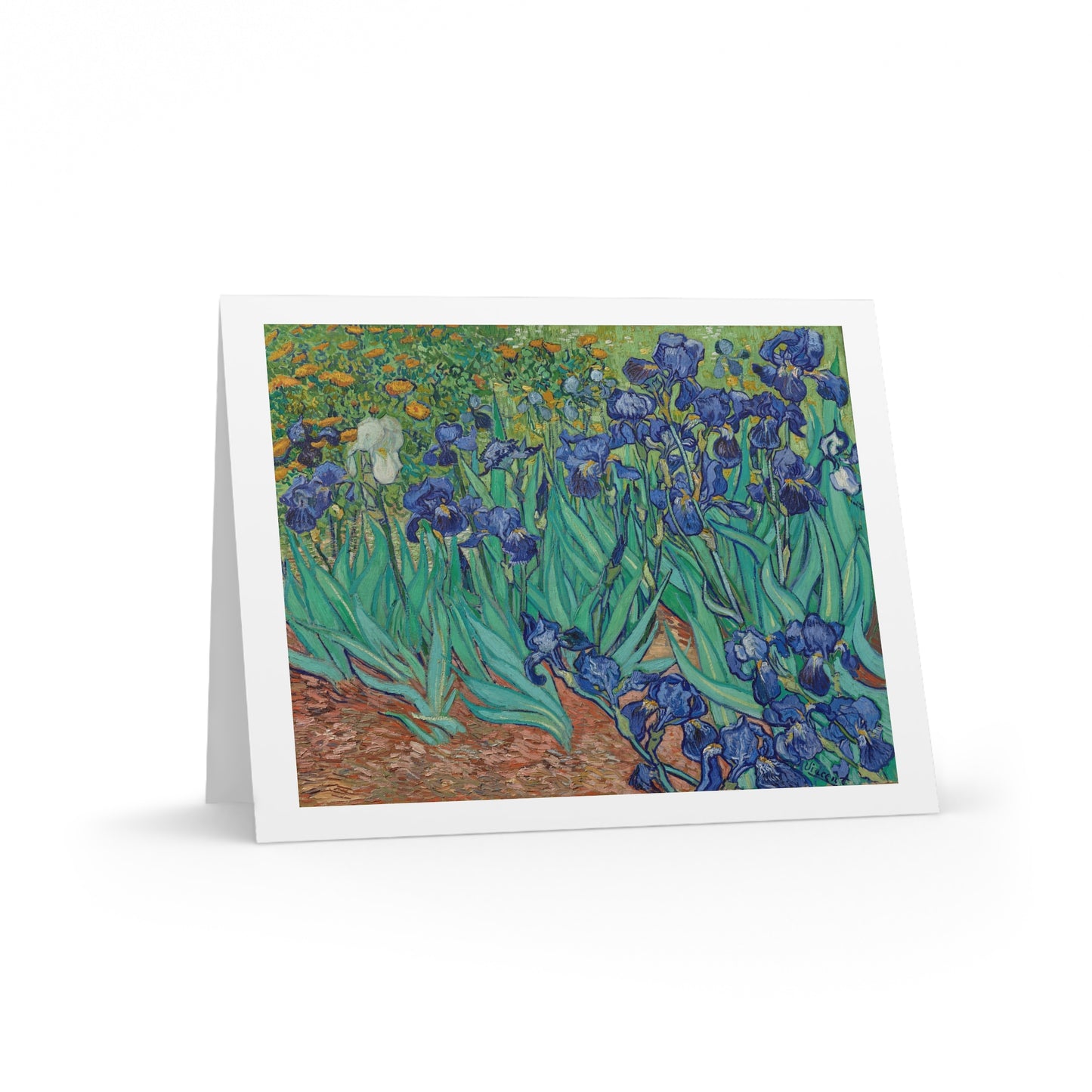 IRISES Vincent Van Gogh Greeting Cards (8, 16, and 24 pcs)