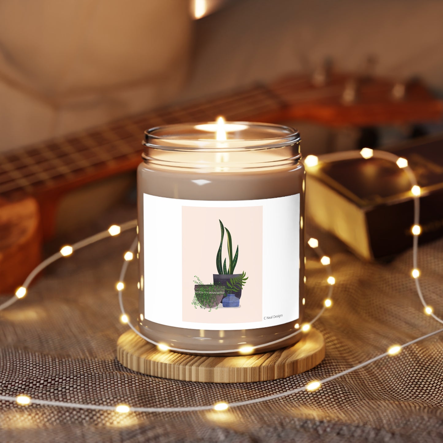 HOUSE PLANTS Scented Candles, 9oz