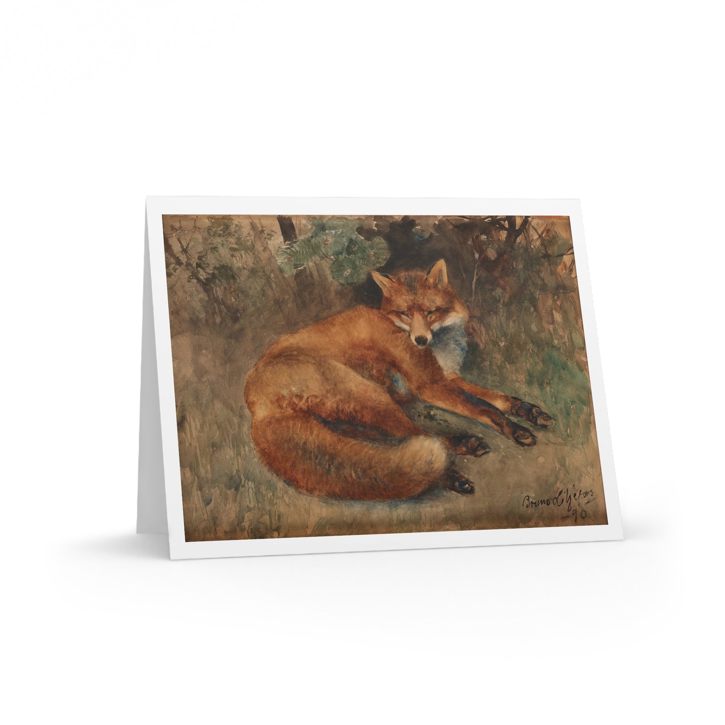 RESTING FOX Greeting Cards (8, 16, and 24 pcs)