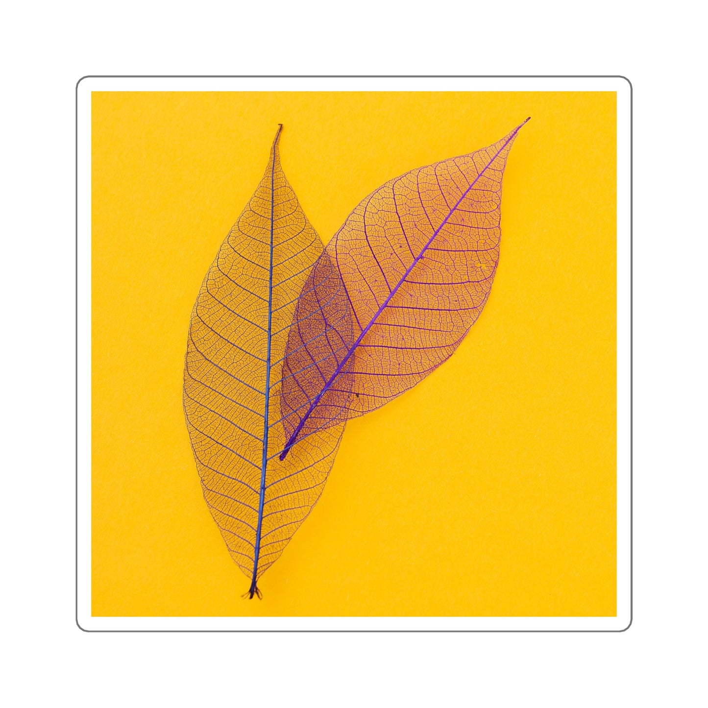 FALL IS IN THE AIR - Skeleton Leaves Square Stickers