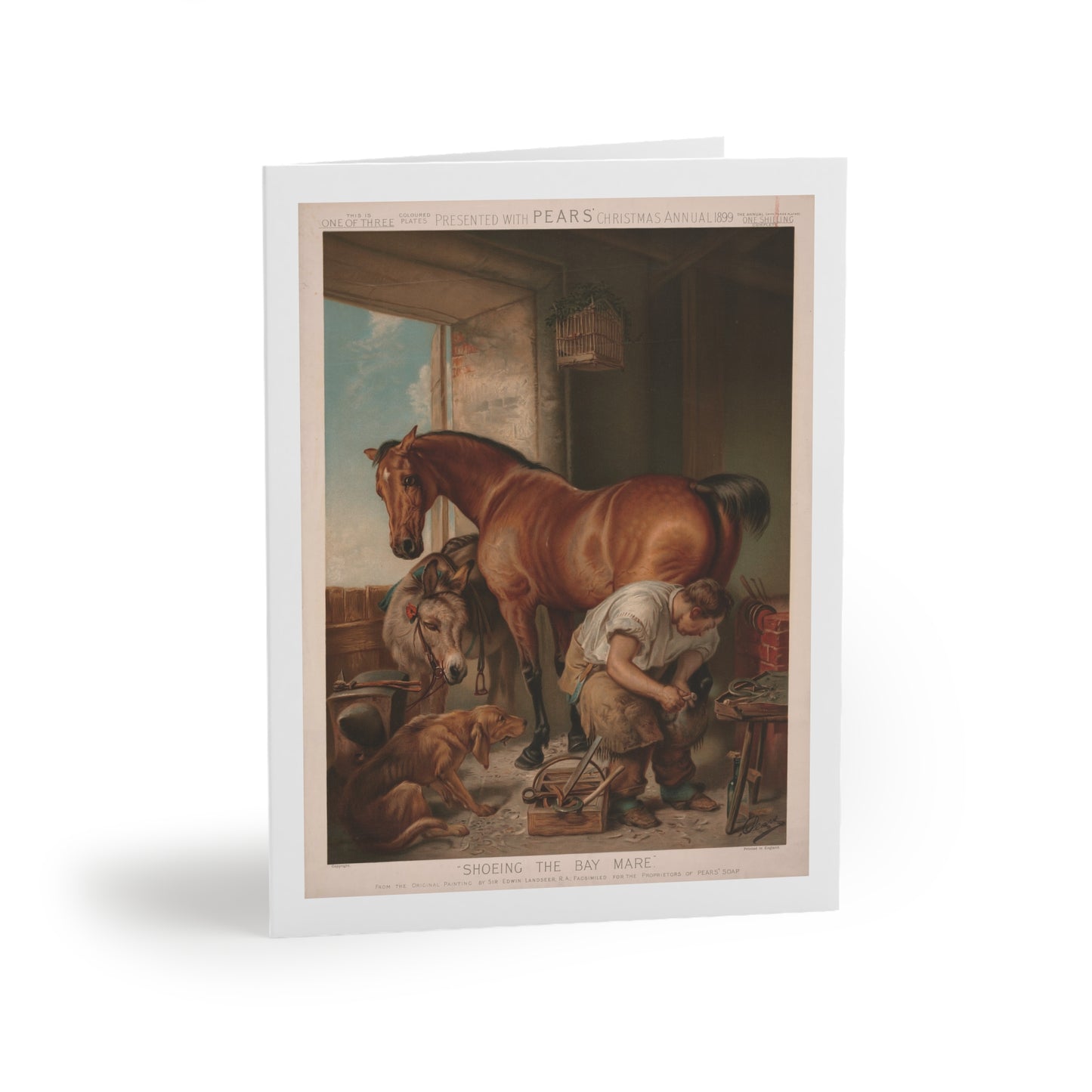 SHOEING THE BAY MARE Greeting cards (8, 16, and 24 pcs)