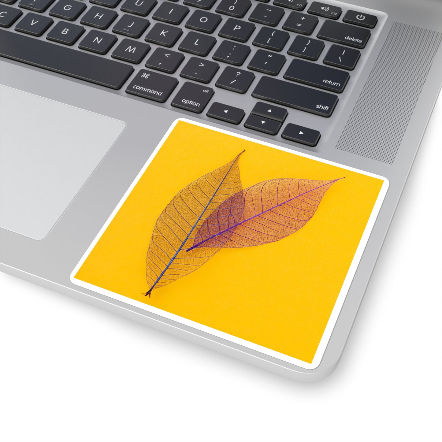 FALL IS IN THE AIR - Skeleton Leaves Square Stickers